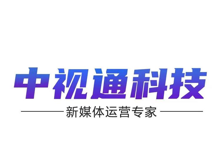 重庆中视通科技